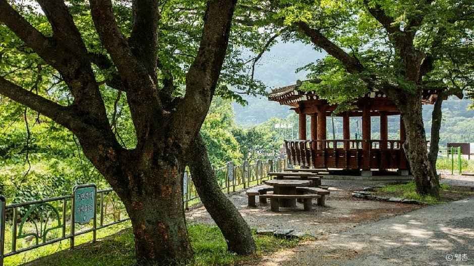 가정녹색농촌체험마을