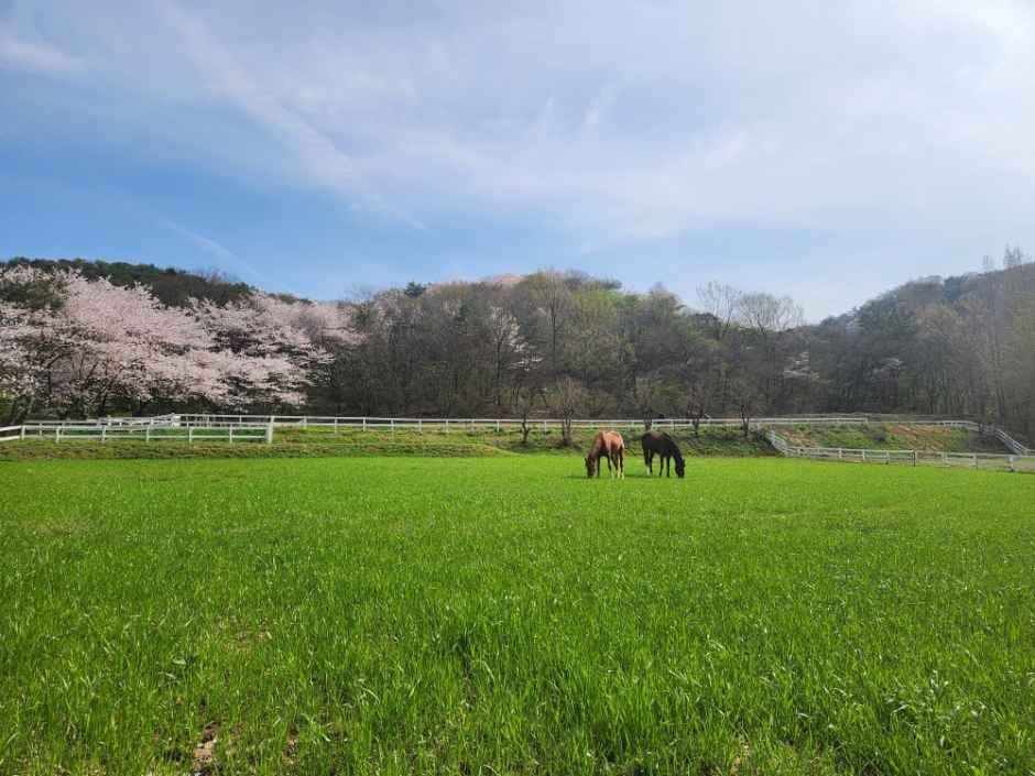 송산목장